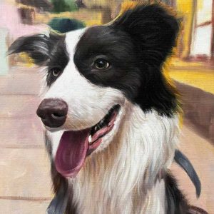 Pet Portraits
