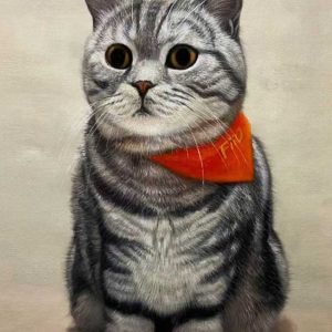Pet Portraits