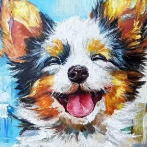 Pet Portraits