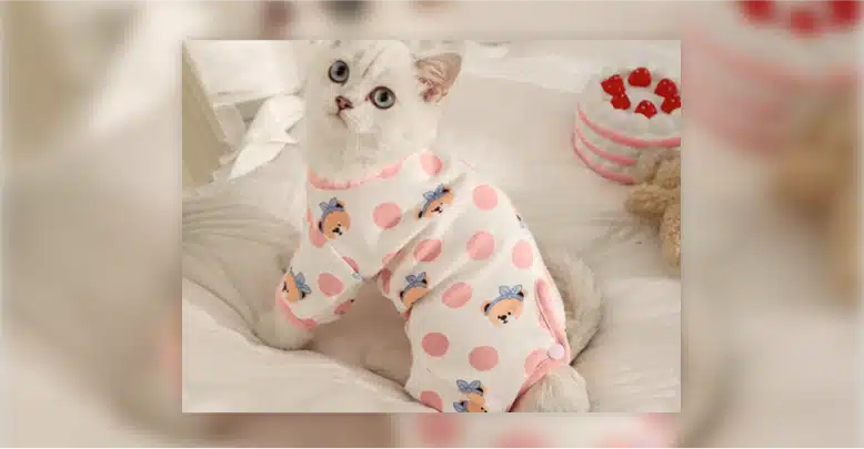 Cozy Cat Themed Pajamas blog webp