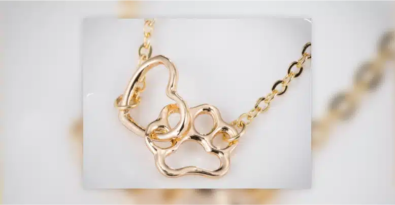 Paw Print Charm Jewelry blog webp