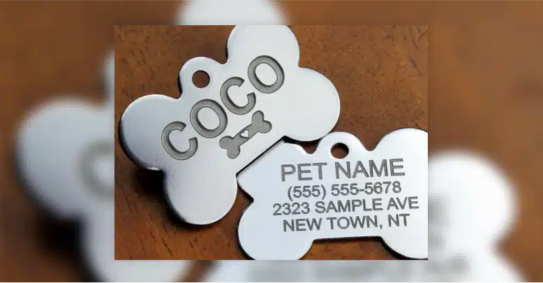 Personalized Pet ID Tag blog webp