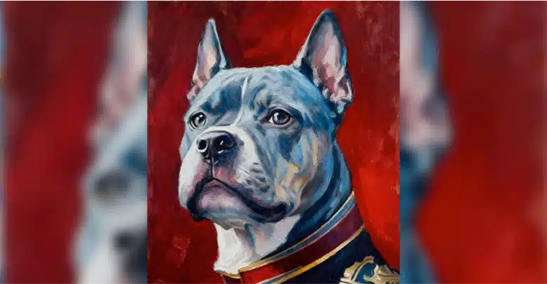 Royal Pet Drawing blog webp