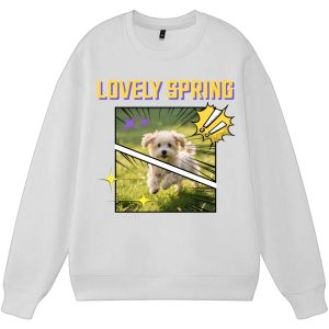 Sweatshirts & Hoodies
